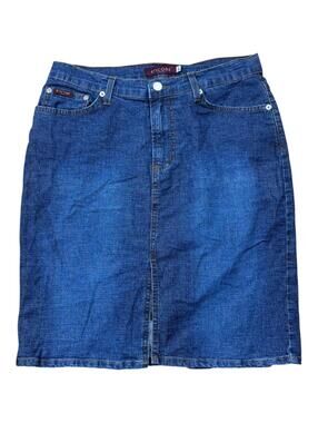 Encore Denim Midi Y2K Skirt